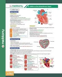 Kardiyoloji Temel Kavramları