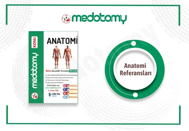Anatomi Çalışma Teknikleri