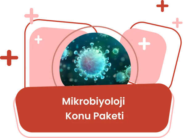 Mikrobiyoloji Konu Eğitim Paketi / Tuğba Çakıroğlu