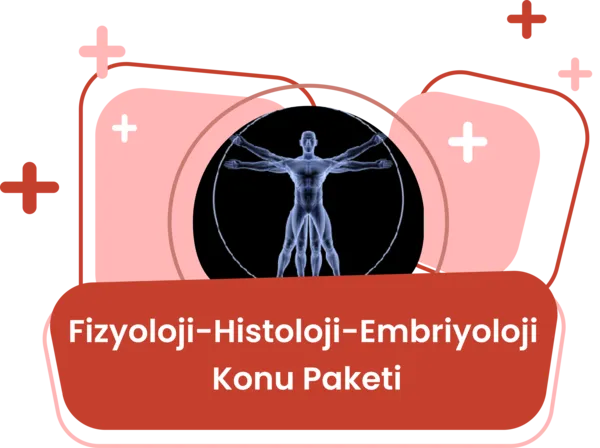Fizyoloji Konu Eğitim Paketi / Tuncer Demir