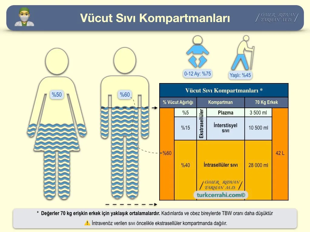 Volüm ve Bozuklukları